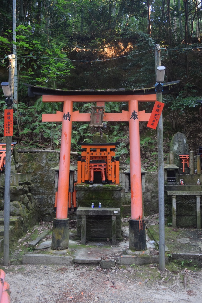 In the middle of the woods I found multiple shrines with mini torii gates. | Photo by Alexandra Pamias
